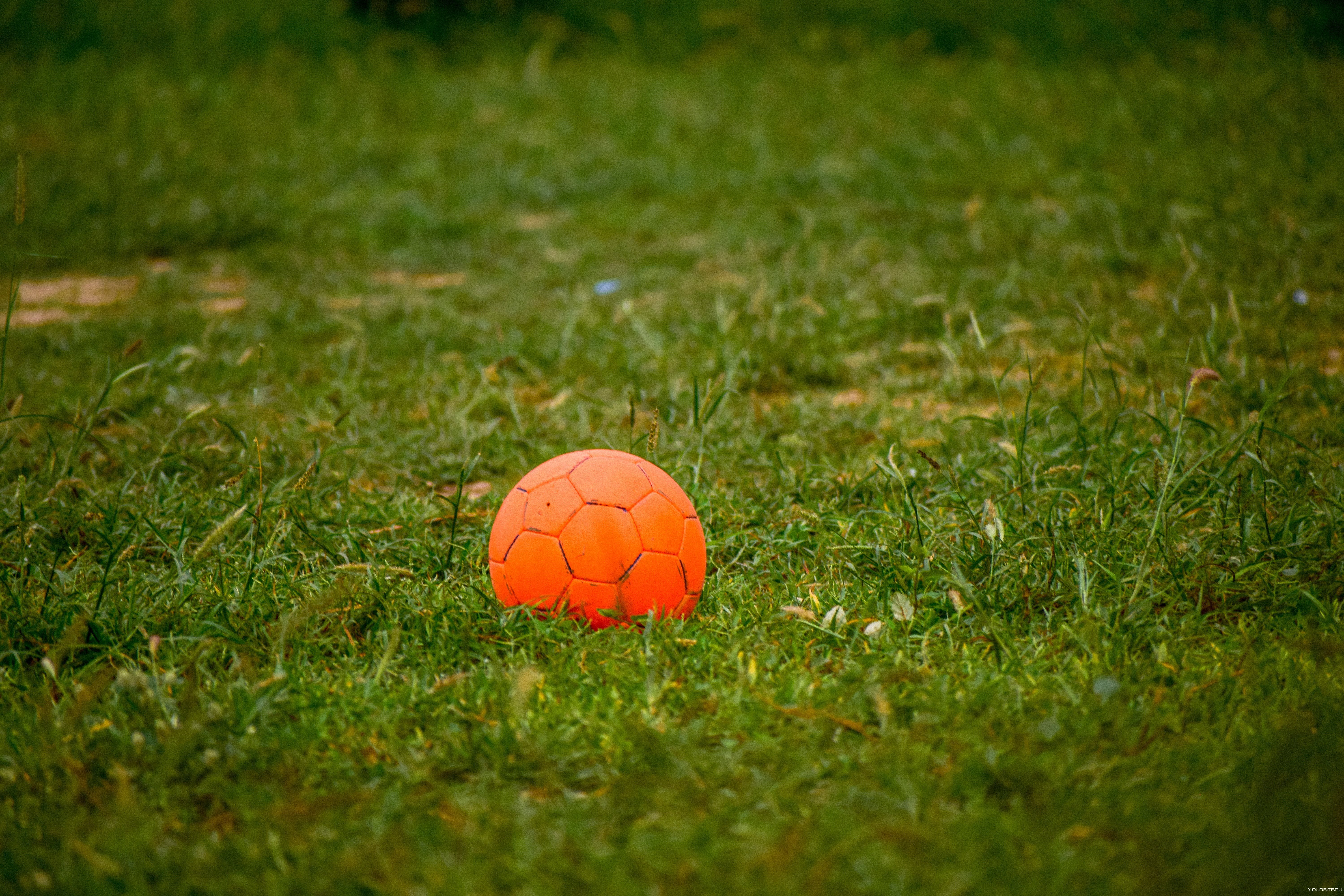 Игра мяч на траве. Мячик на траве. Футбольный мяч на траве. Оранжевый футбольный мяч. Мячик на травке.