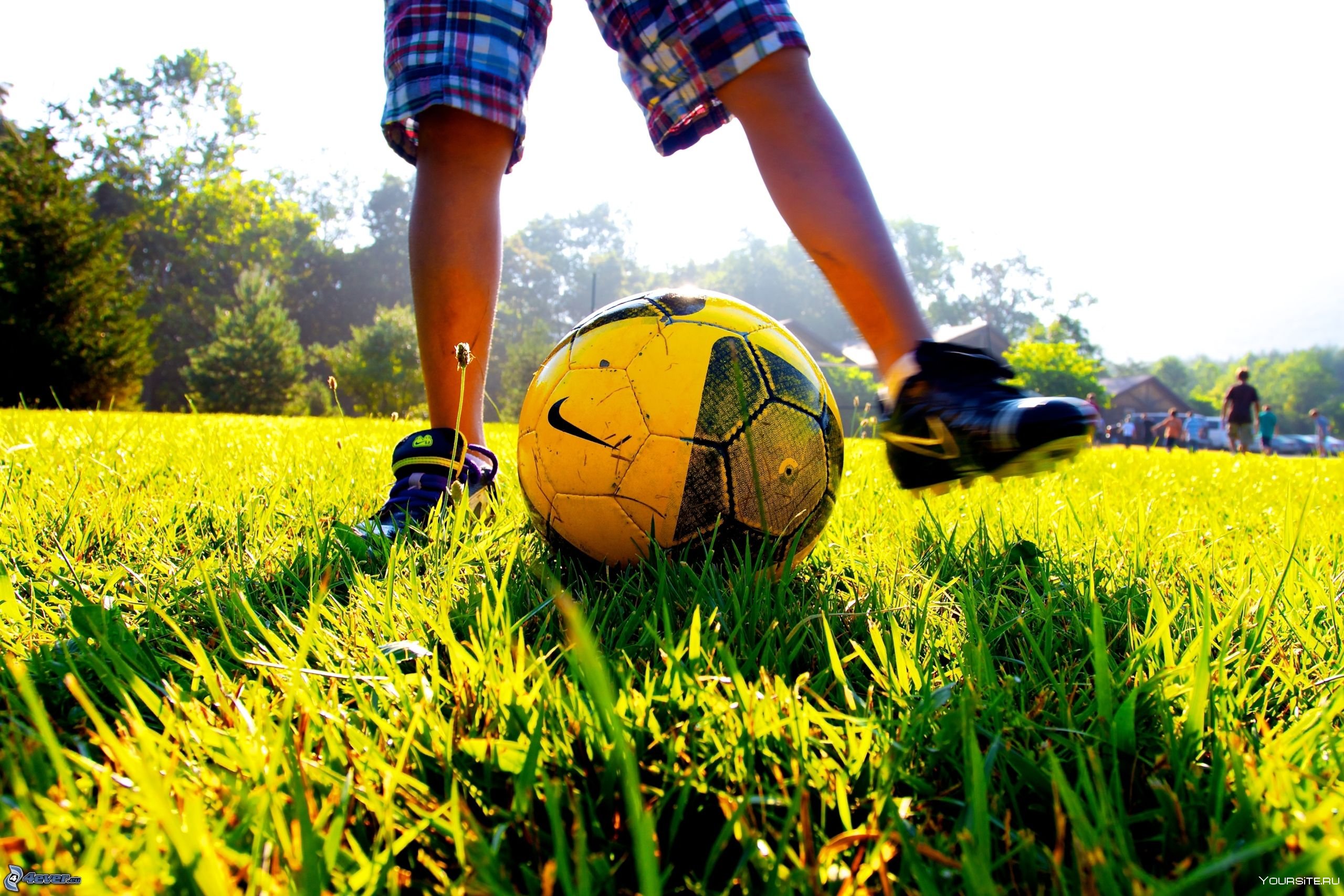 Игра мяч на траве. Мячик на траве. Футбольный мяч на траве. Футбольный мяч на поле. Лето с футбольным мячом.