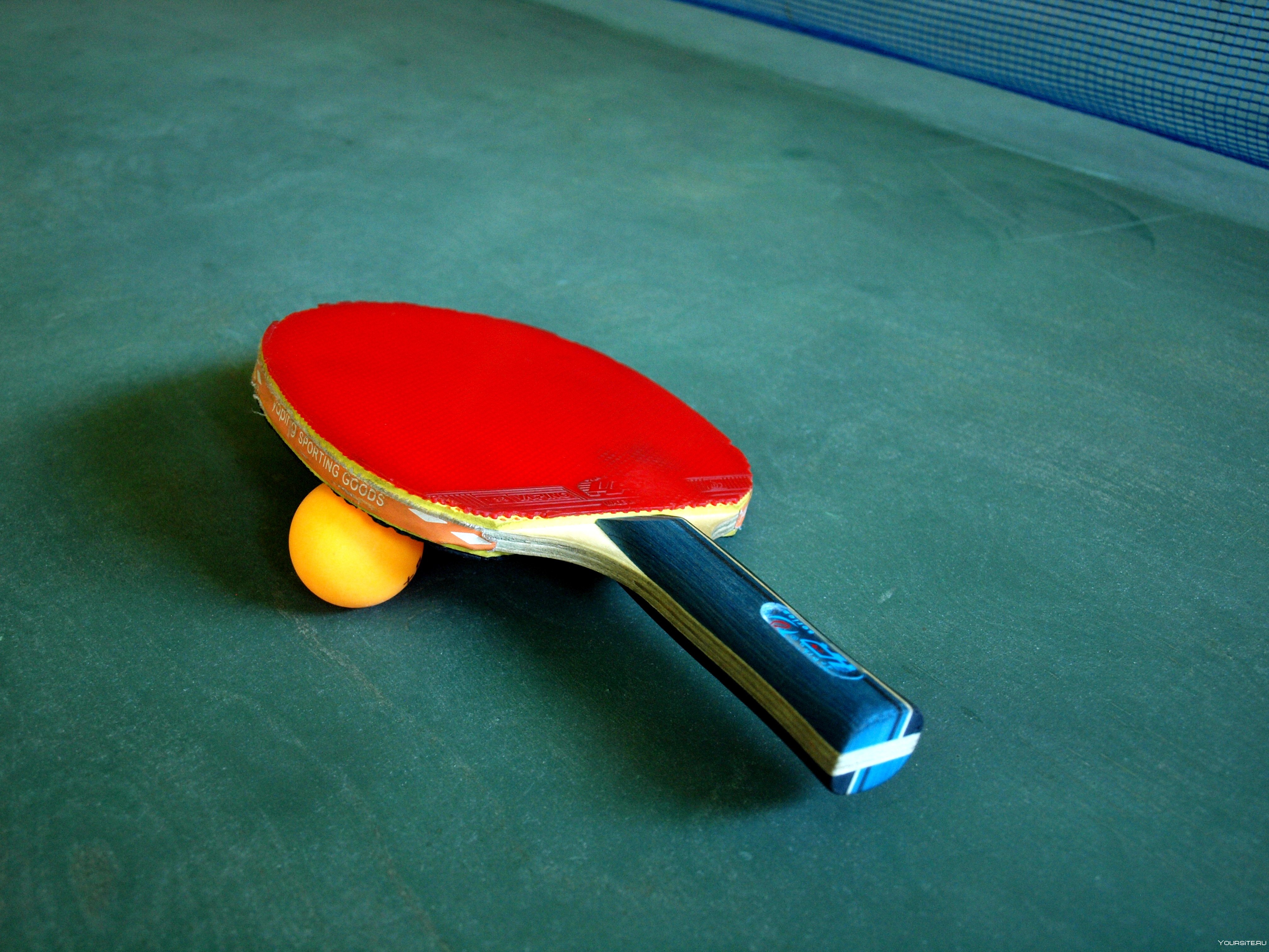 Ракетка для маленького тенниса. Ping Pong Paddle. Ping Pong Table Tennis. Теннисная ракетка и мячик. Красивые ракетки для настольного тенниса.