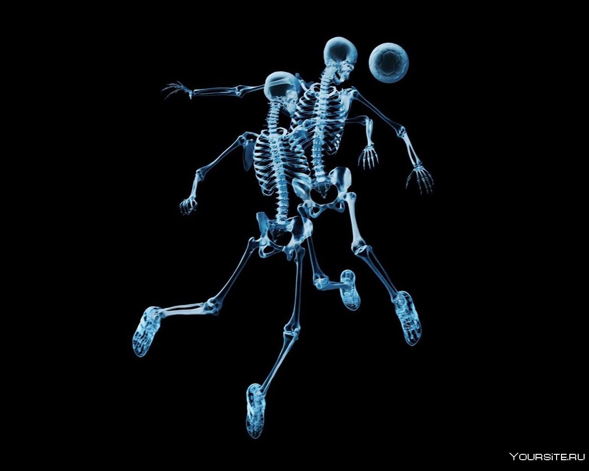 Скелет фигура
