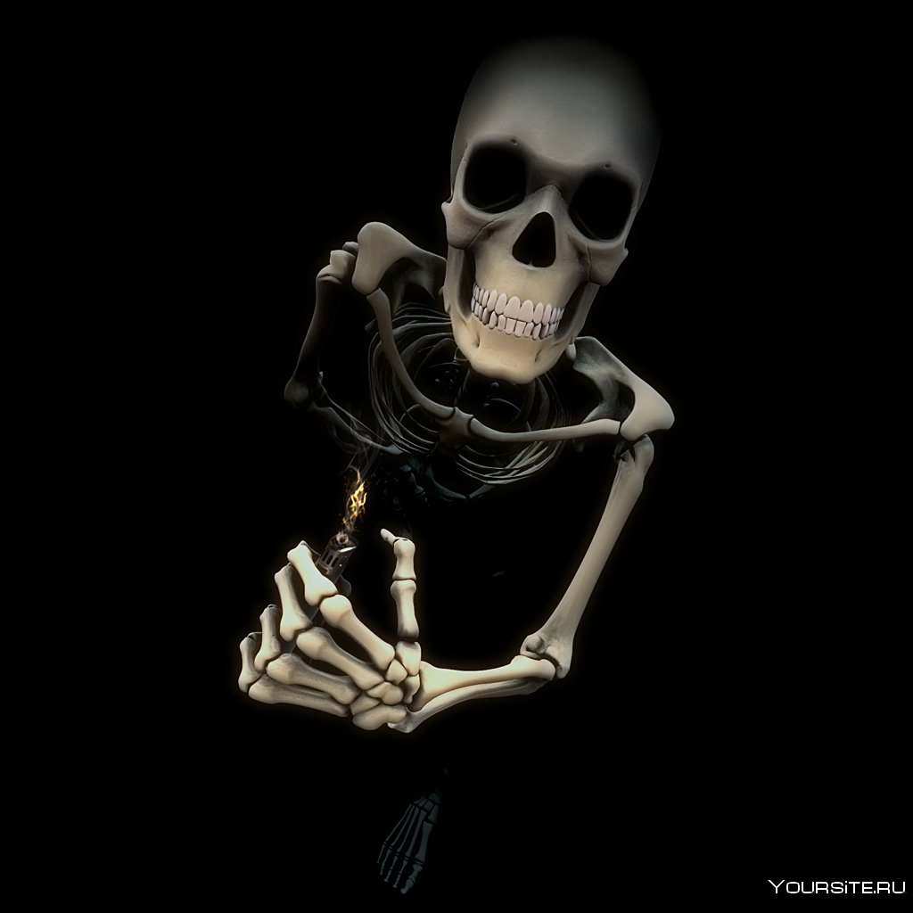 Скелет в Кожанке