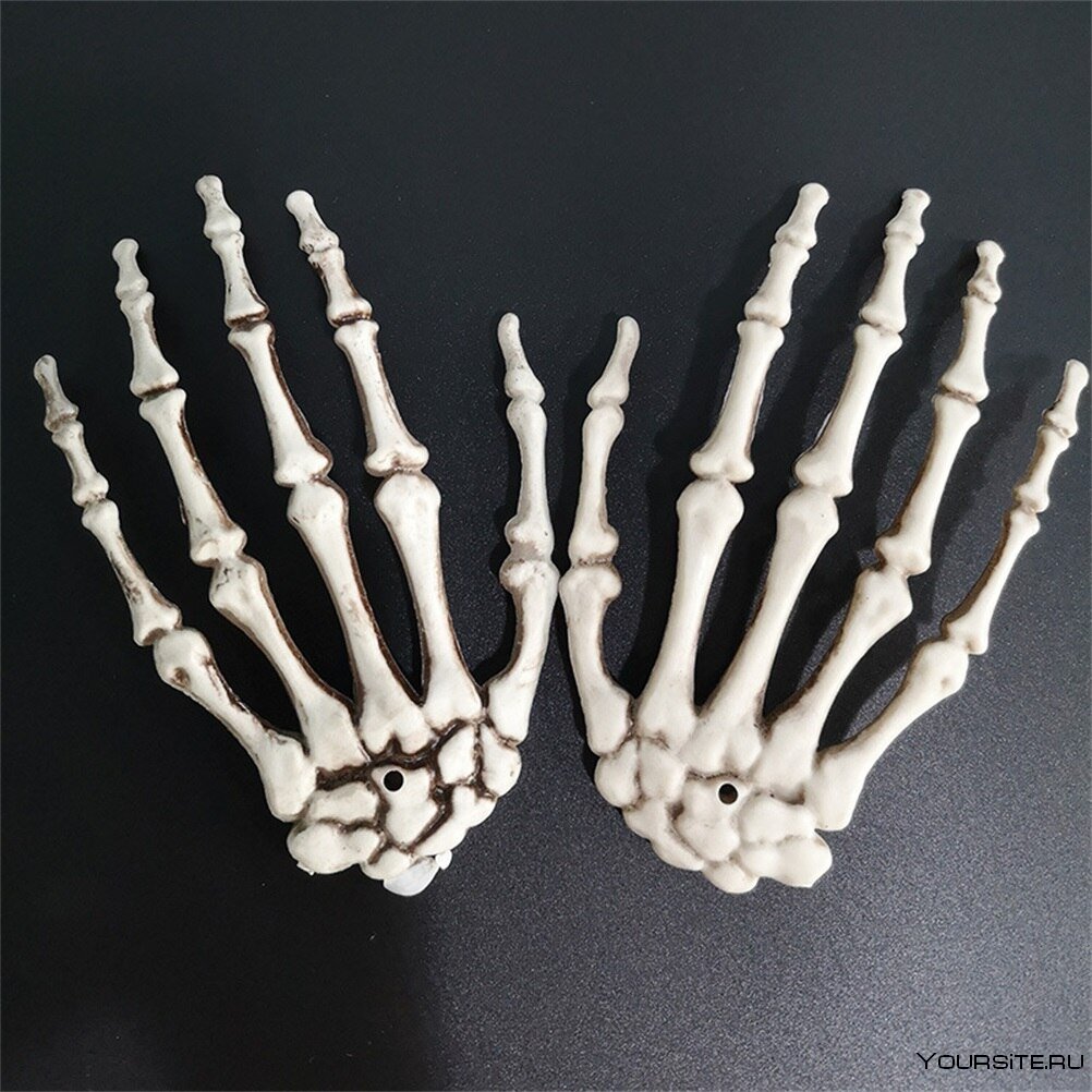 Рука скелета