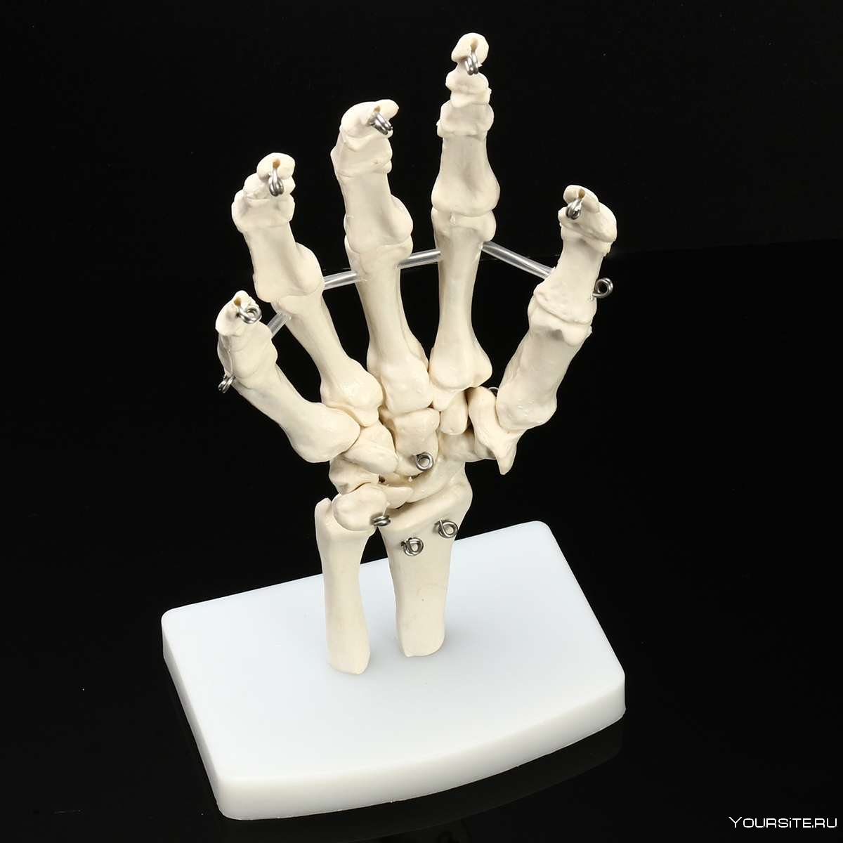 Рука скелета STL