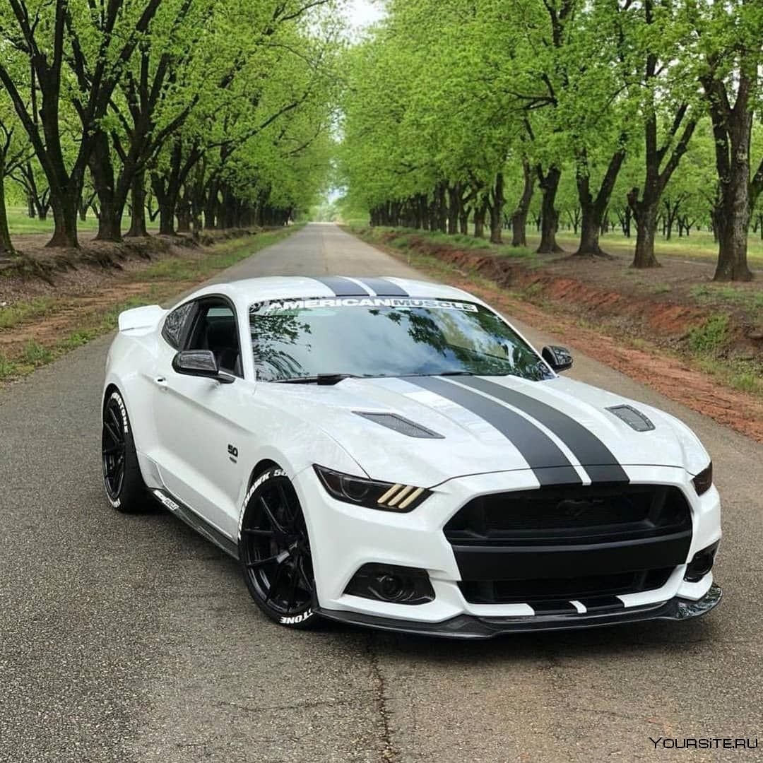 Ford Mustang gt 2019