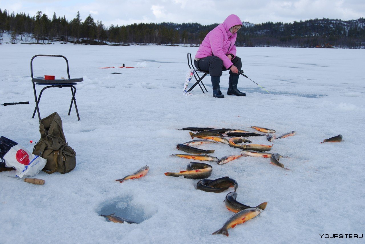 Рыбалка на озере можно. Зимняя рыбалка. Подледная рыбалка. Зимняя рыбалка на севере. Фотосессия зимней рыбалки.