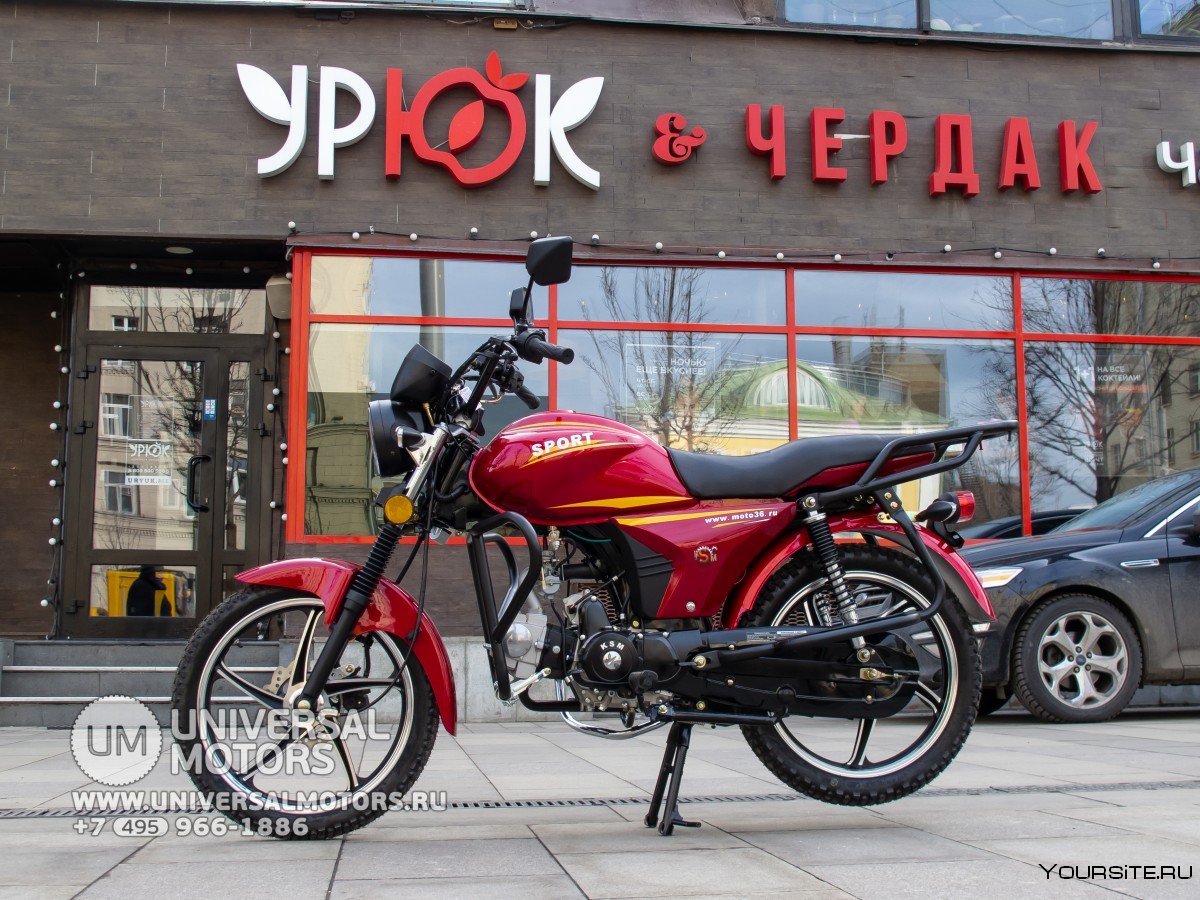 Альфа спорт 125 2021