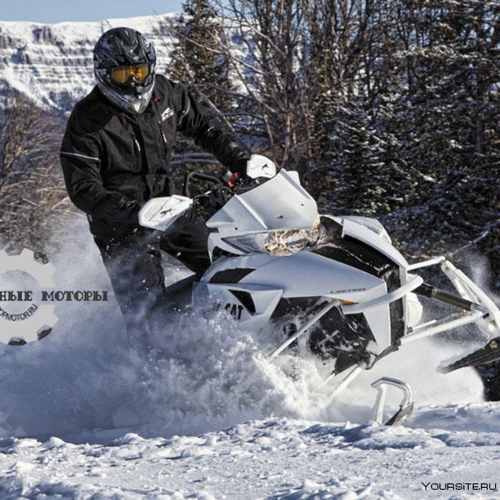 Arctic Cat xf800 2013