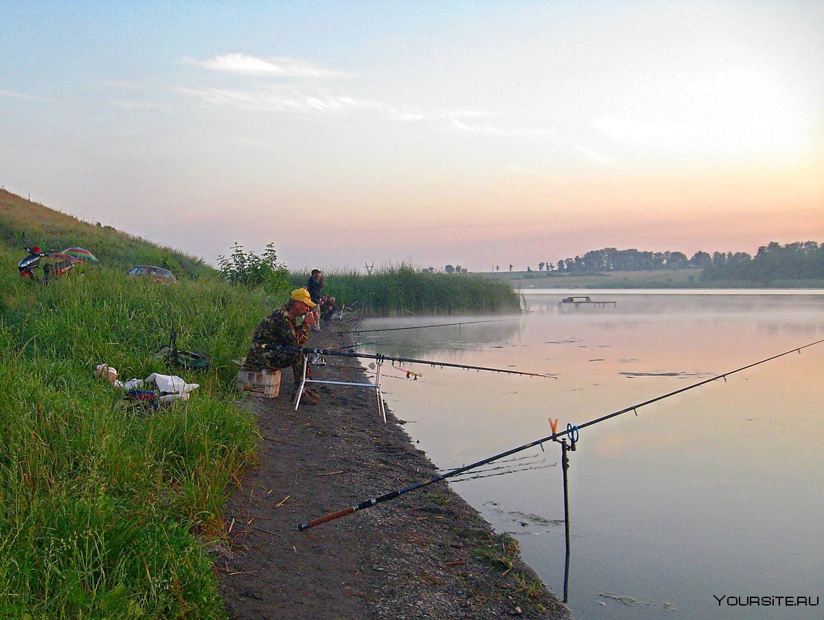 Летняя рыбалка на реке