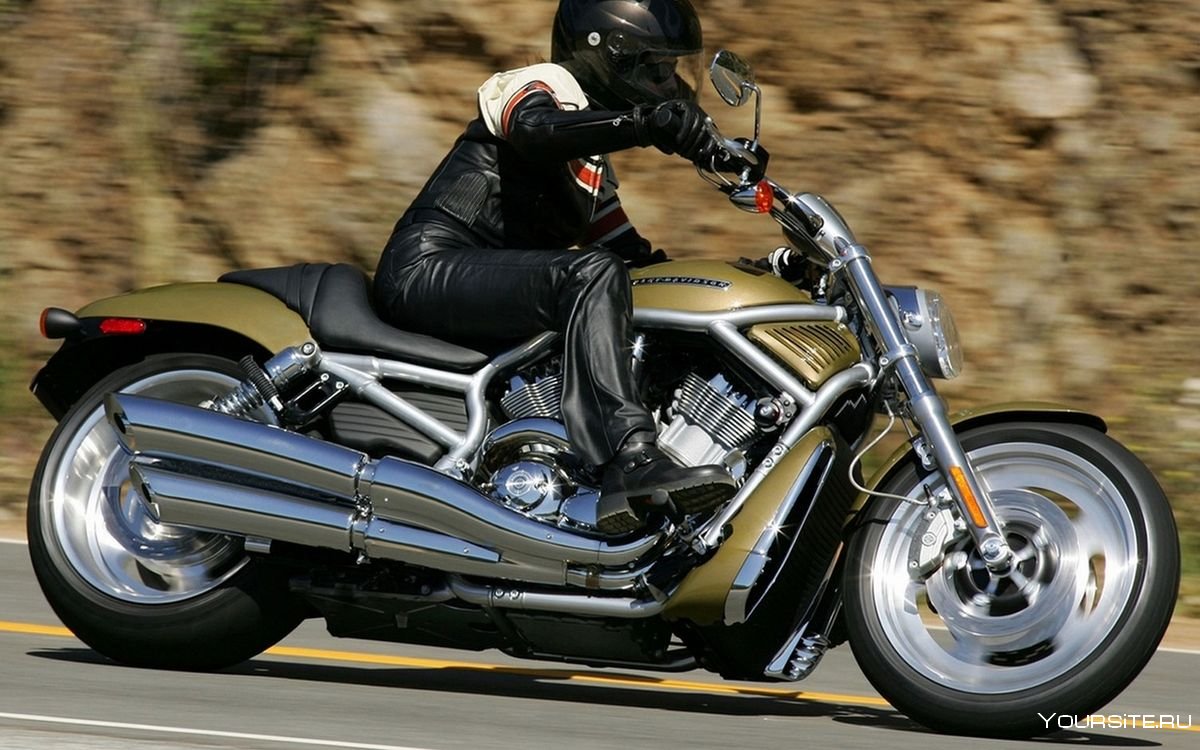 Harley-Davidson VRSC