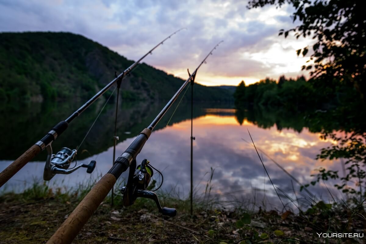 Красивая природа рыбалка