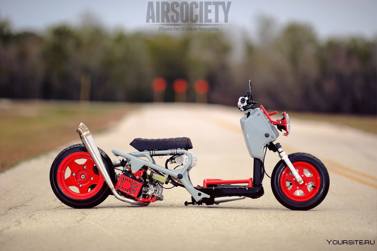 Honda zoomer 50 стант