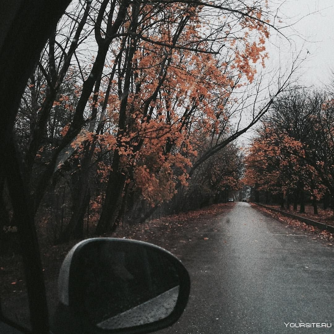Машина под дождем осень