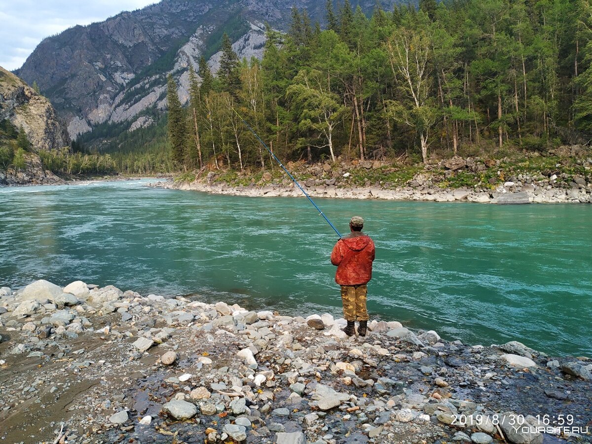 Рыбалка на реке Катунь горный Алтай