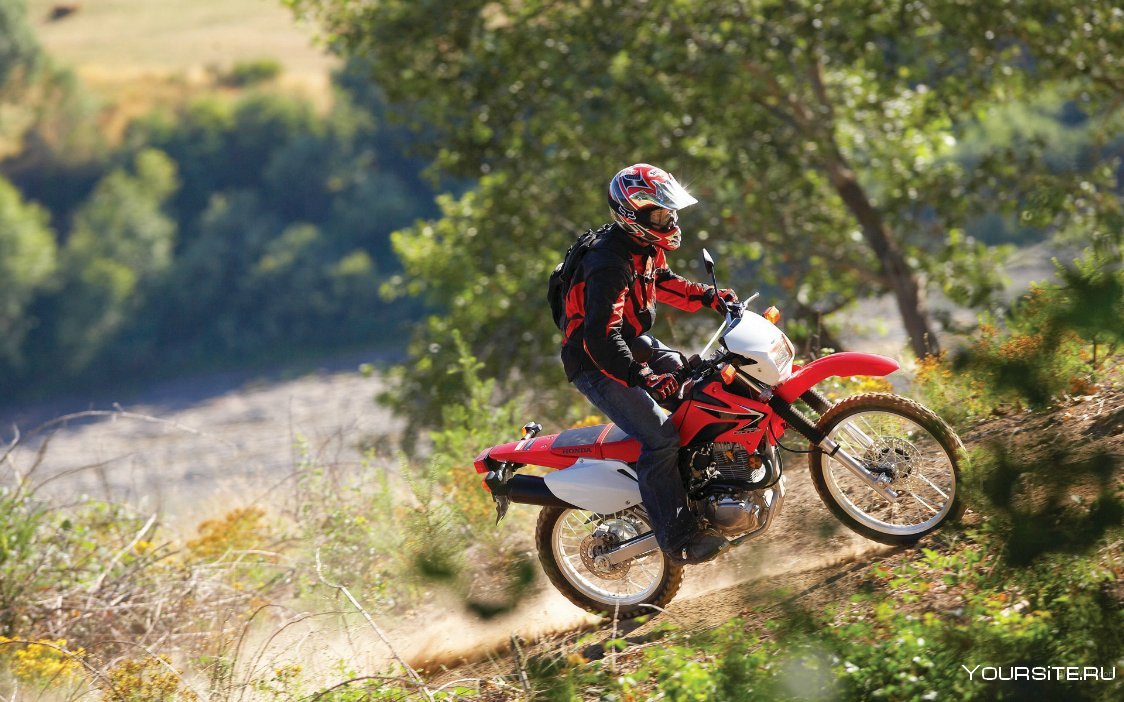 Honda crf1000l