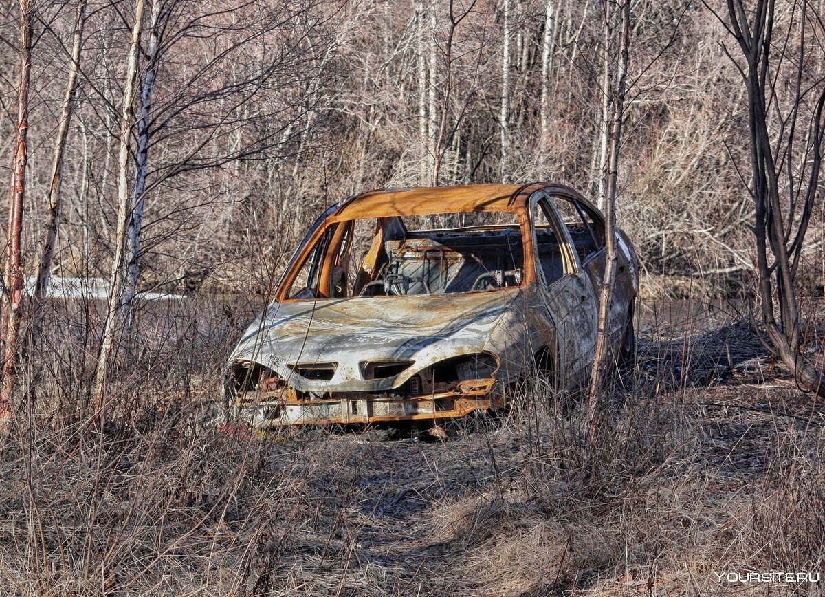 Заброшенные автомобили в лесу Россия