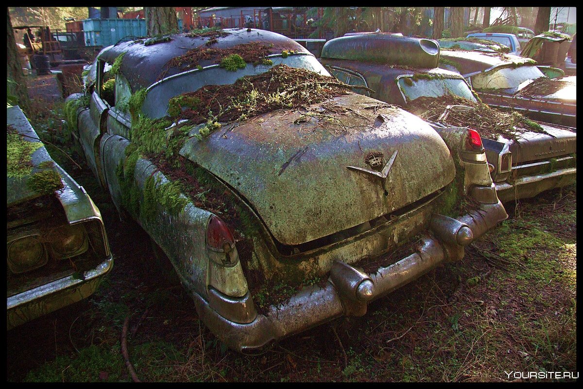 Старые заброшенные автомобили