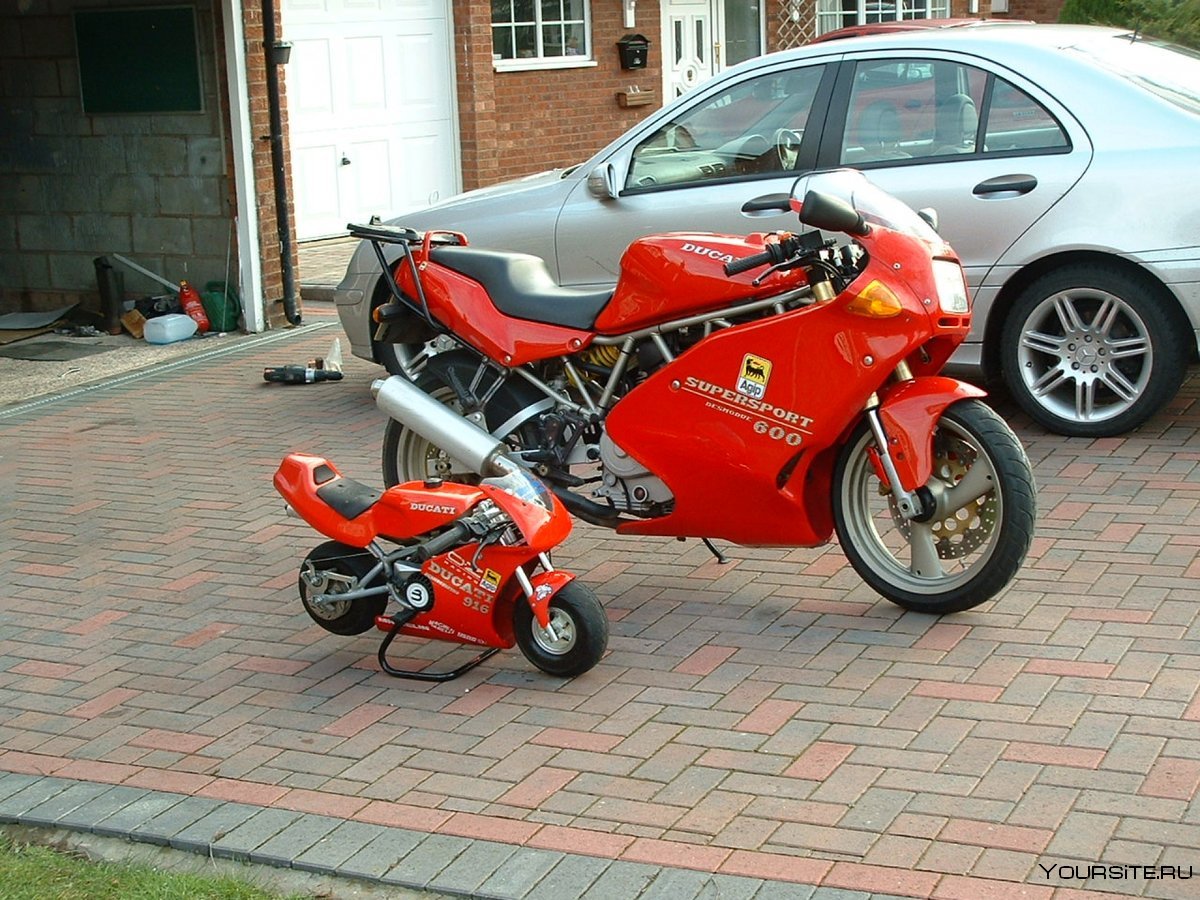 Pocket Bike Ducati