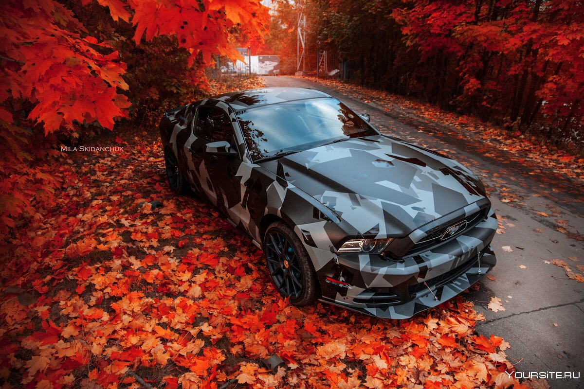 Машина в осенней листве