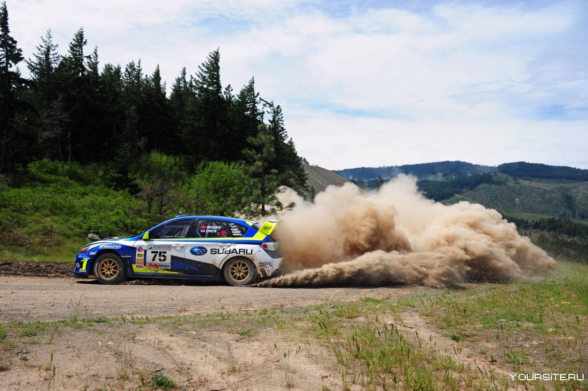 Subaru Rally car