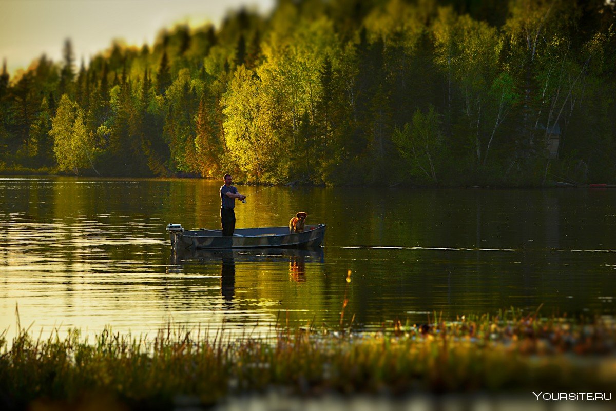 Рыбак на берегу реки