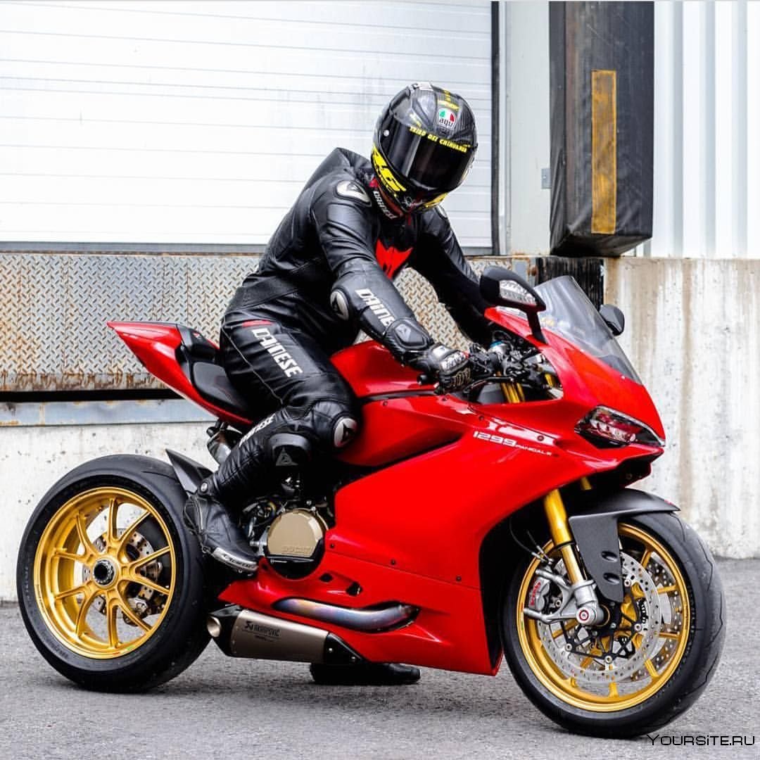 Мотоэкипировка спортбайк Ducati