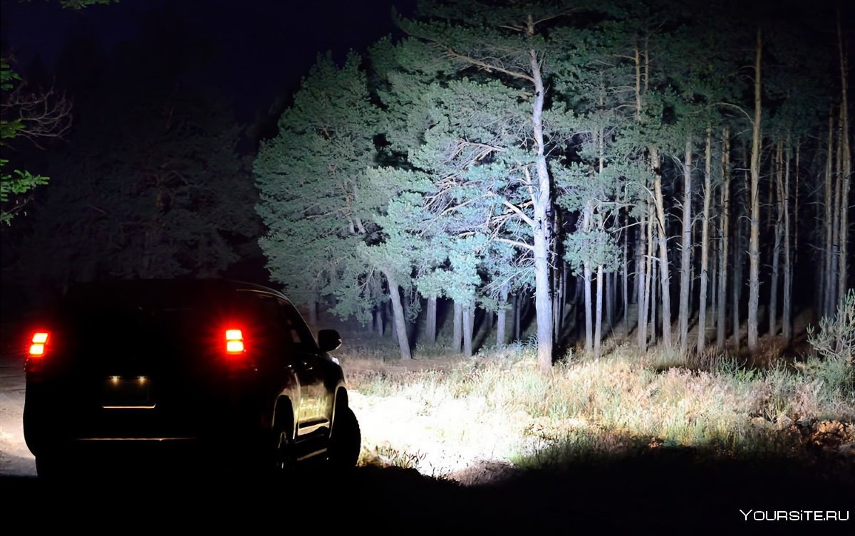 Машина в лесу в темноте