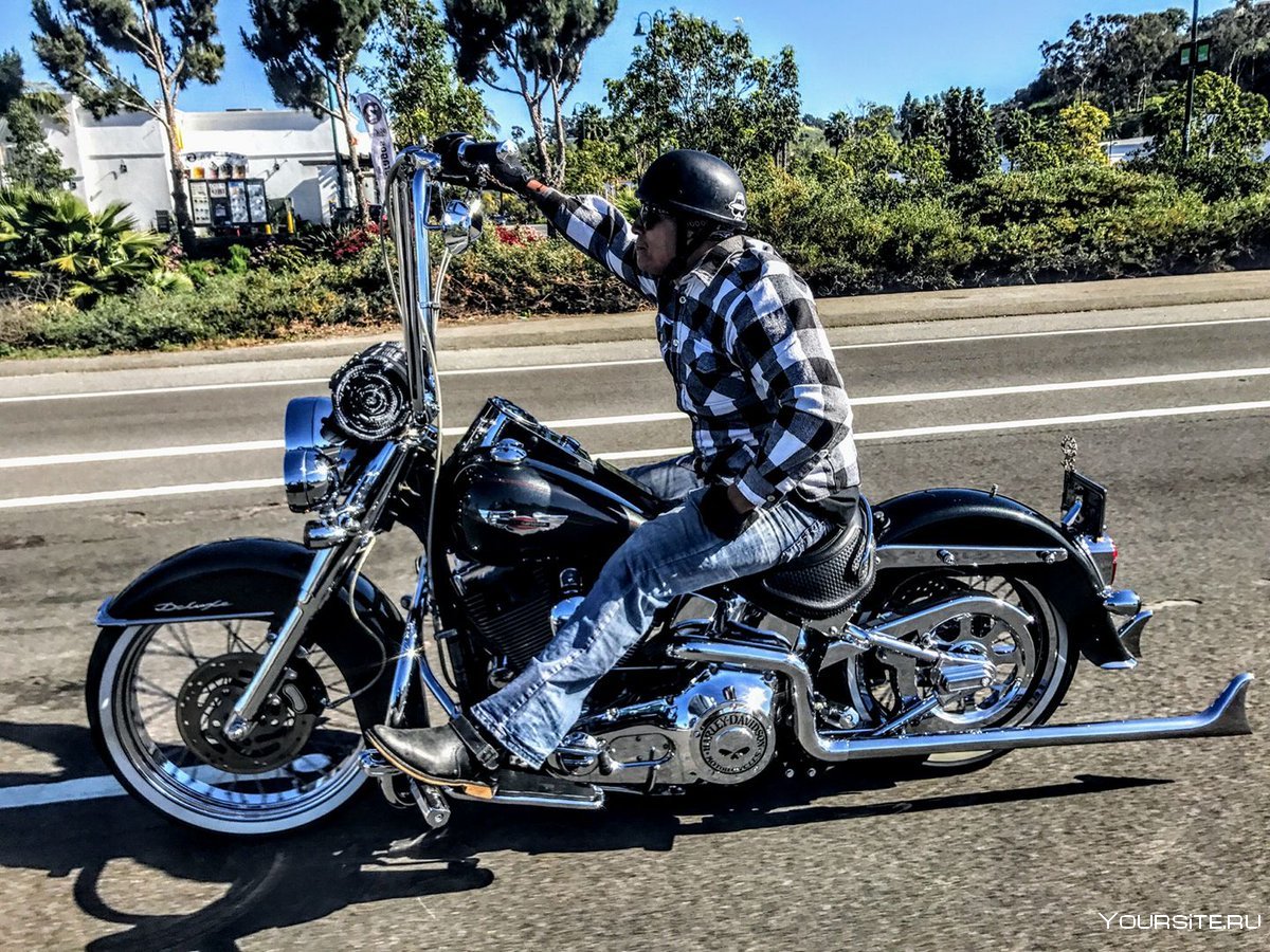 Harley Davidson Softail Deluxe Chicano
