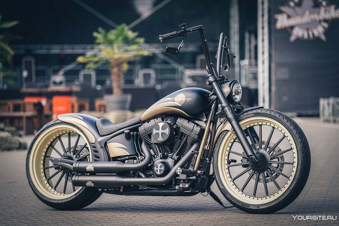 Harley Davidson fat boy 114 Custom