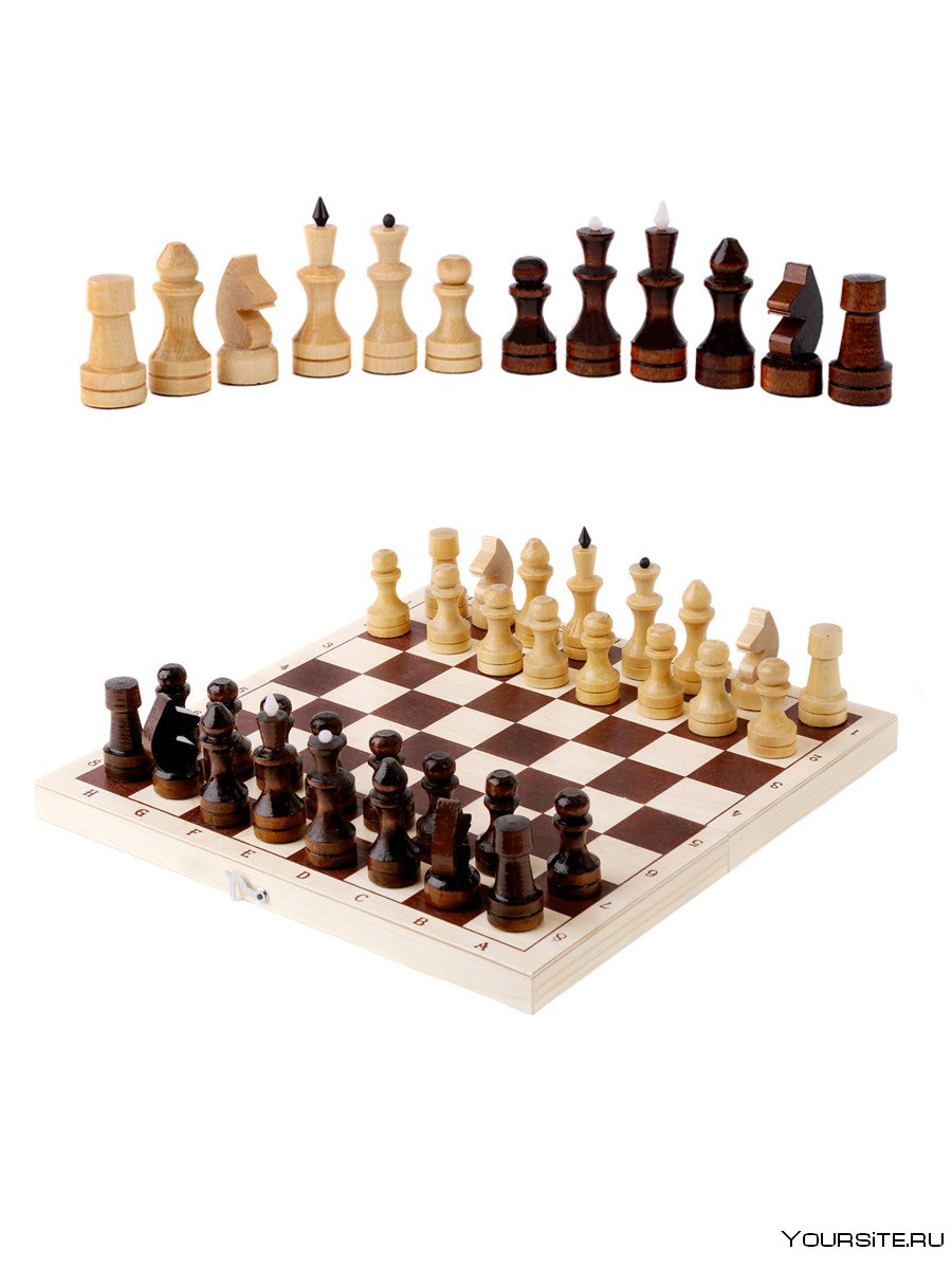 Шахматы гроссмейстерские турнирные