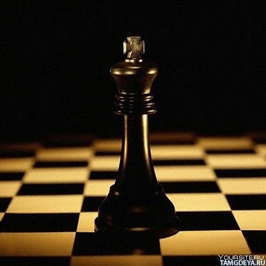 Король на шахматной доске