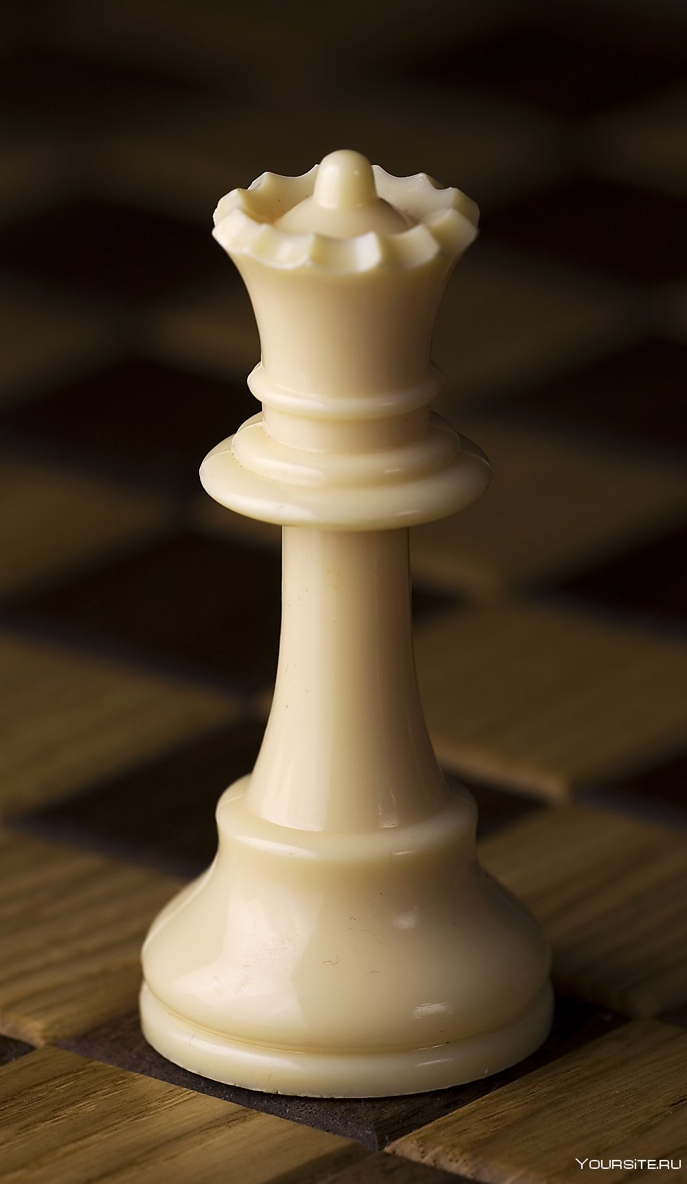 Незабываемые моменты короля до Александра Петрова на шахматной доске
