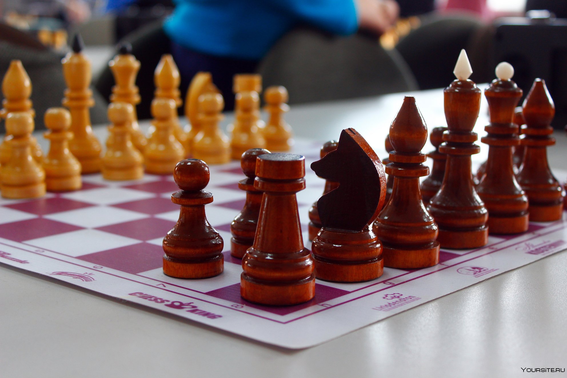 Белая Ладья шахматы. Шахматы соревнования. Ладья шахматная. Шахматы белая Ладья дети. Ладья в шахматах 4