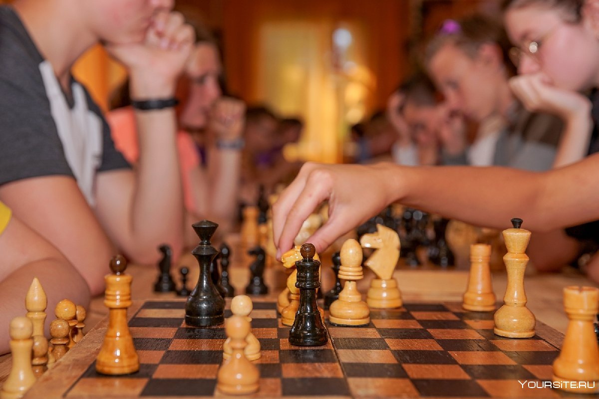 Шахматы соревнования
