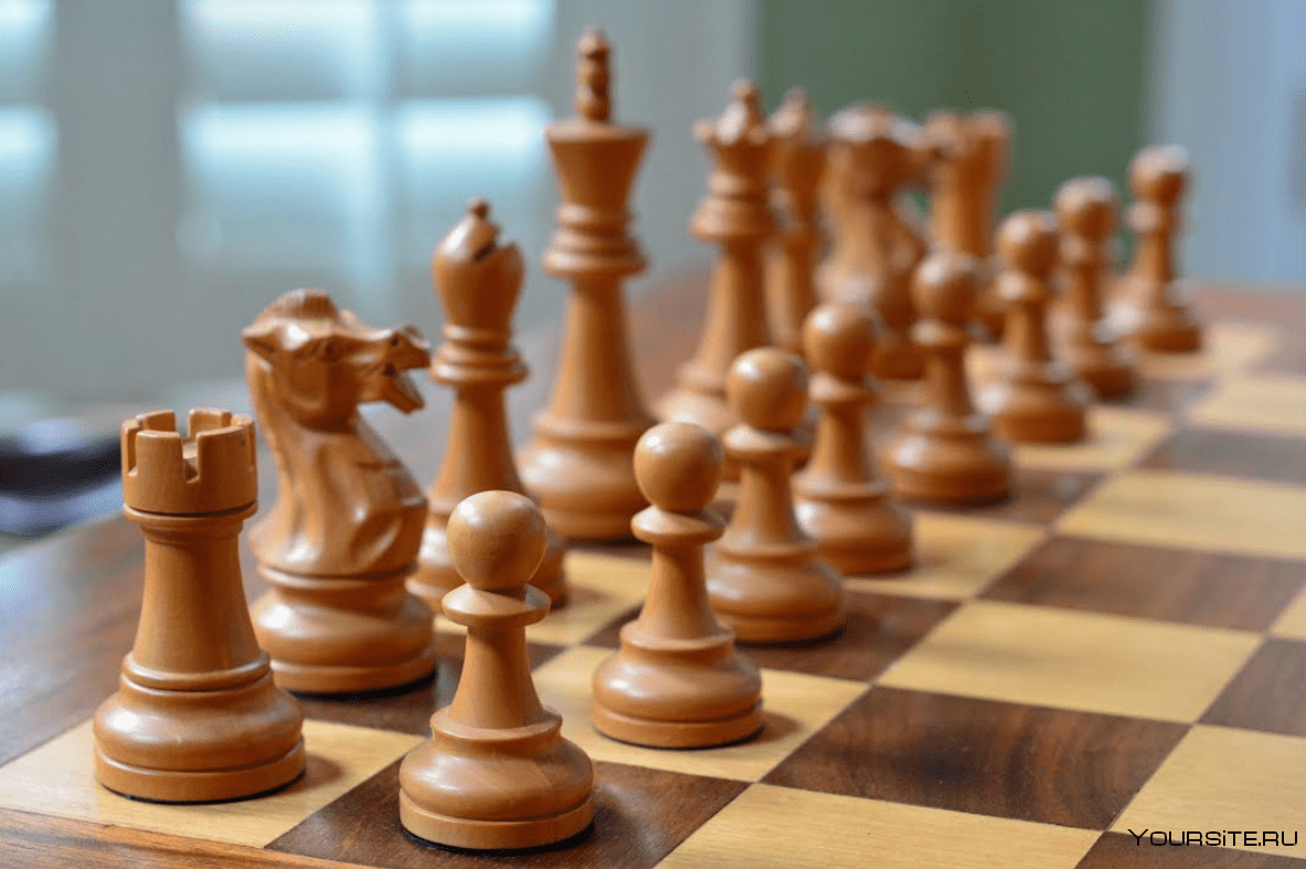 Детские соревнования по шахматам