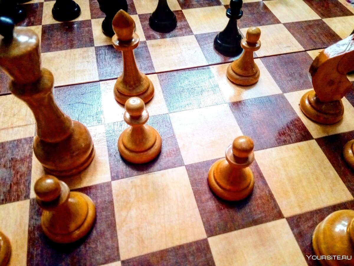 Красивые партии в шахматы