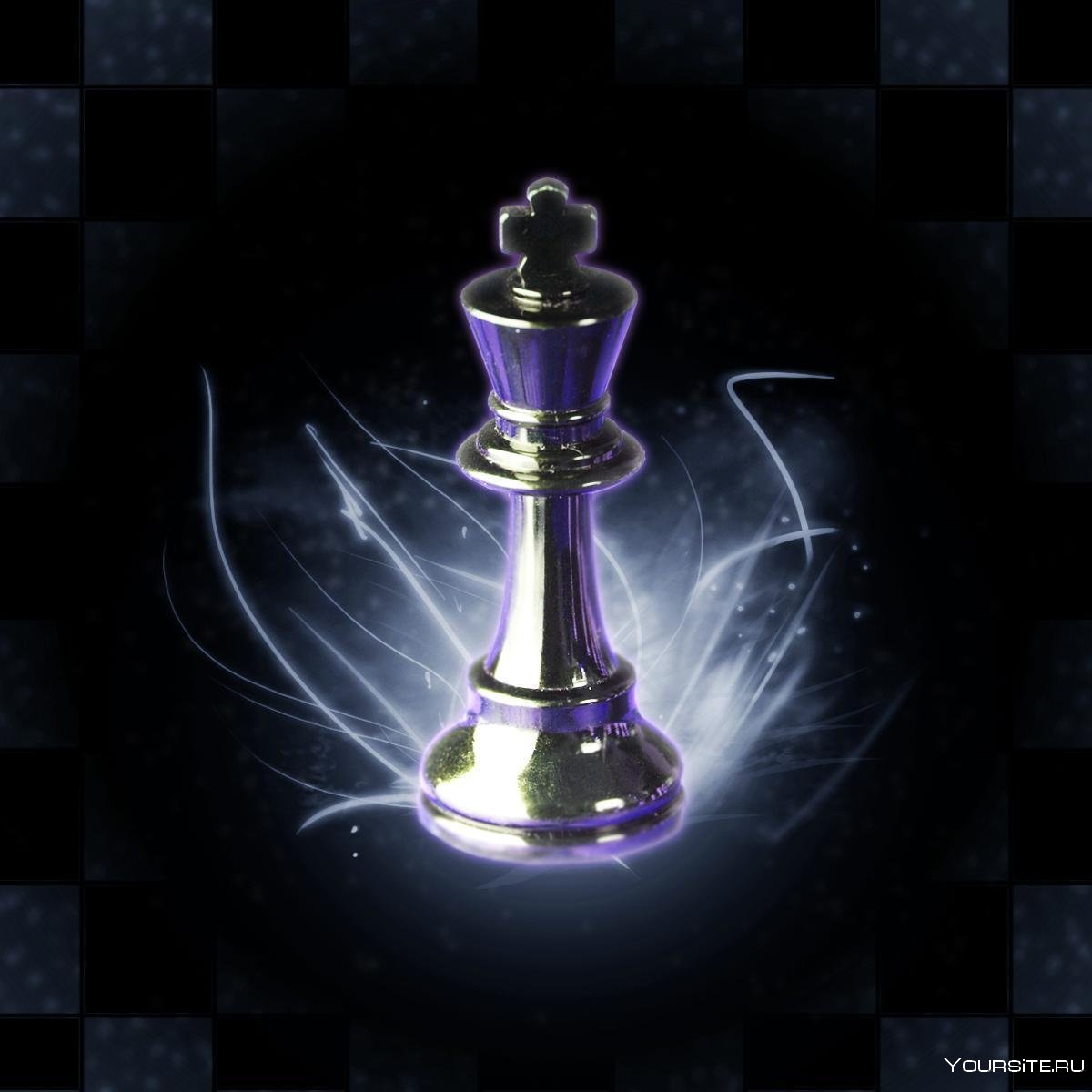 Красивый шахматный Король