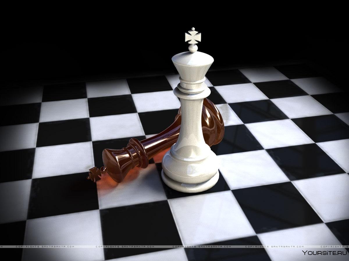 Шахматы черный Король белый ферзь