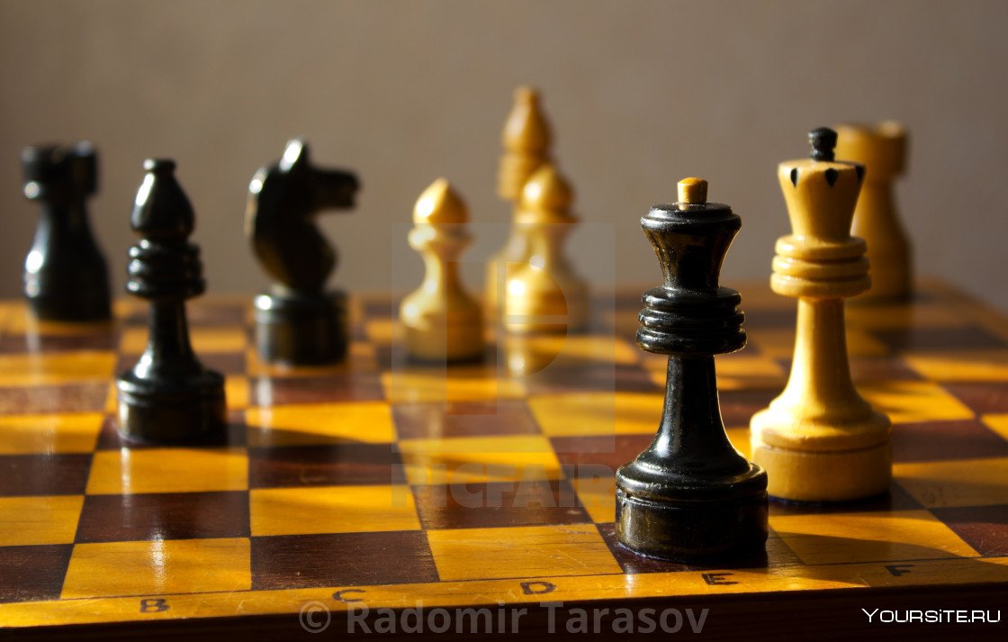 Король на доске шахматы