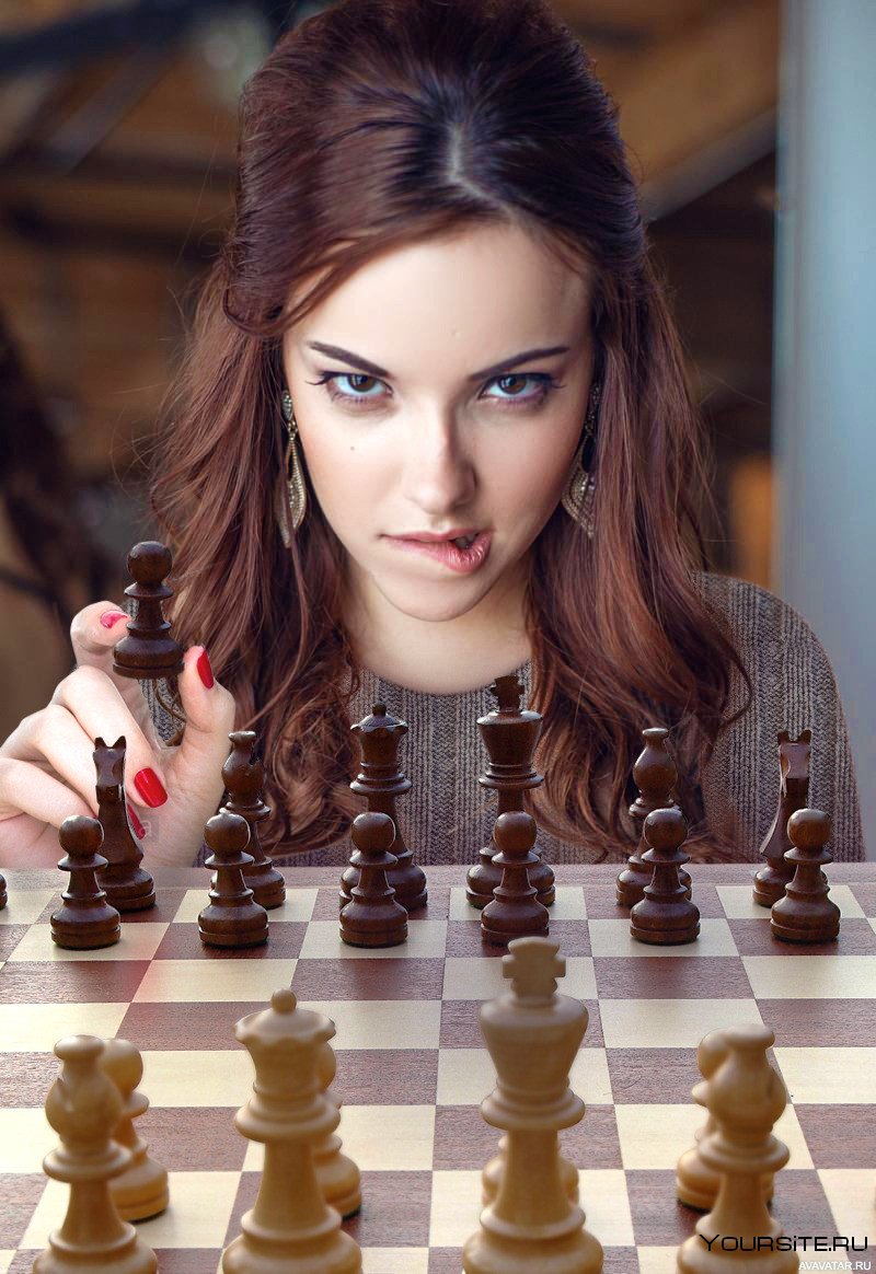 Элизабет Хармон шахматы