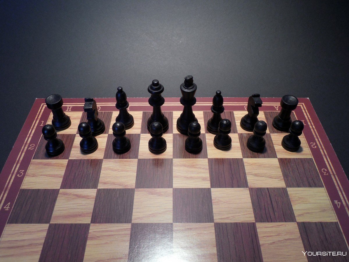 Расположение шахматных фигур на доске