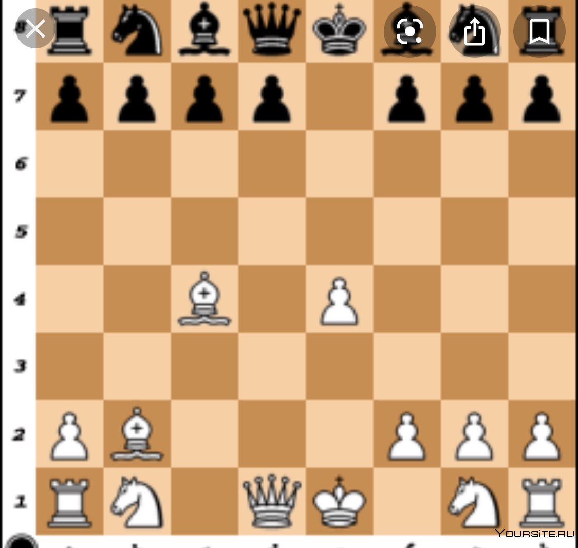 Датский гамбит в шахматах