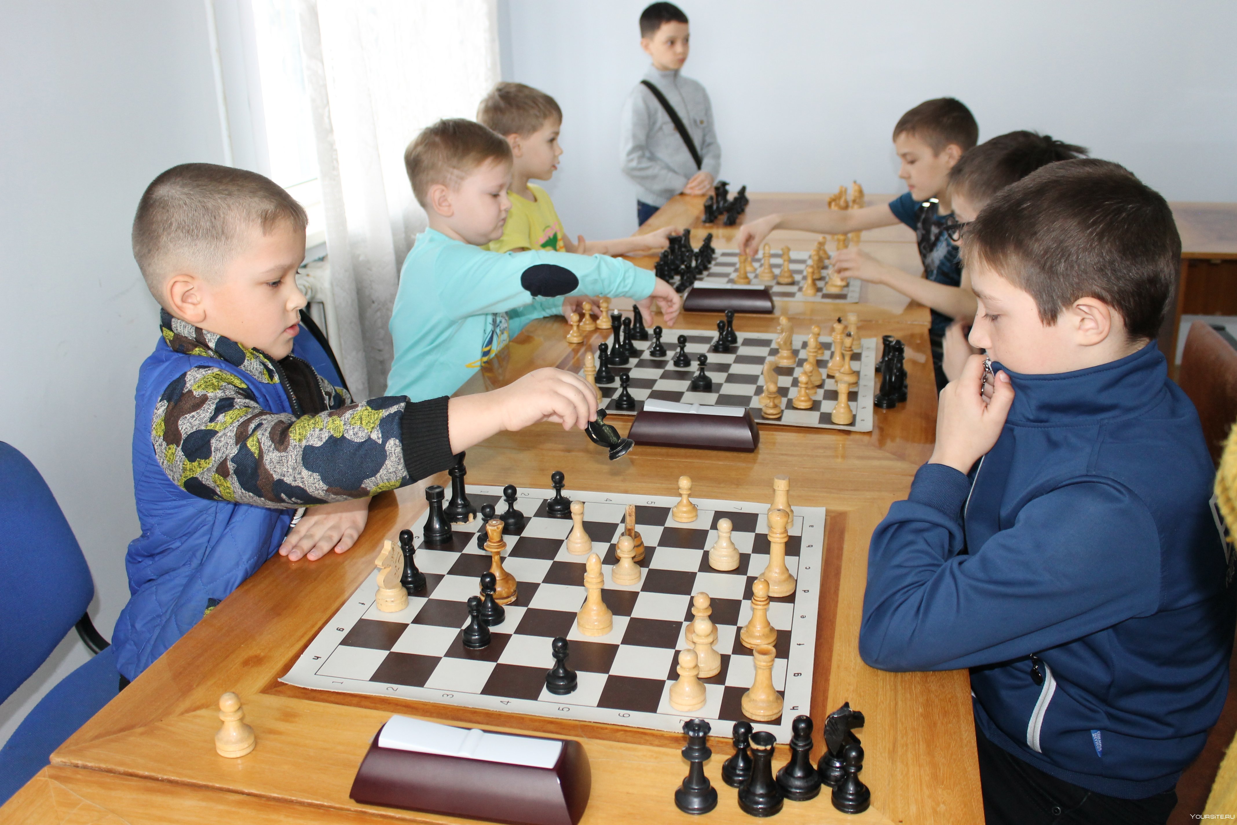 Спортивный шахматный клуб