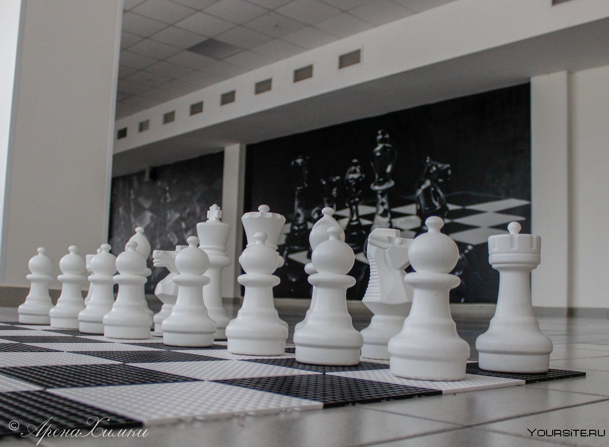 Шахматный зал