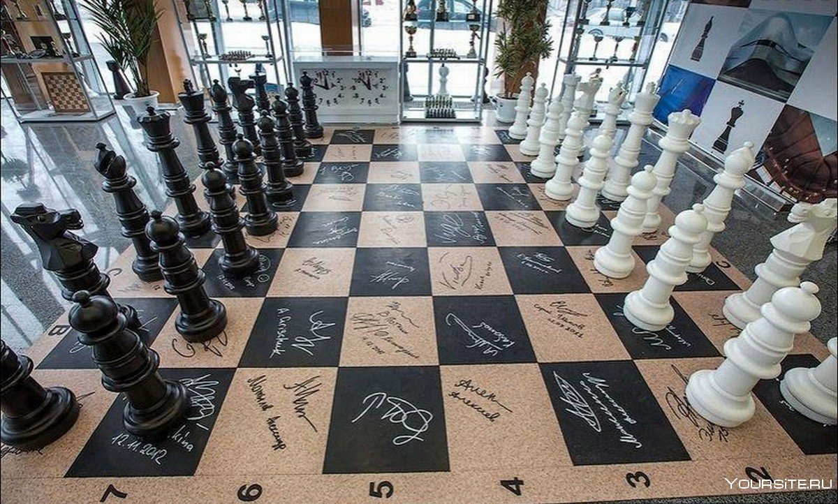 Югорская шахматная Академия
