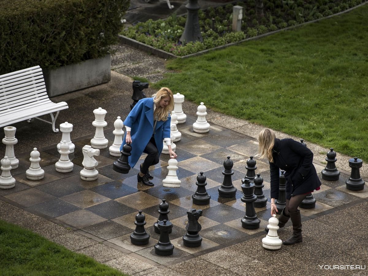 Парковые шахматы