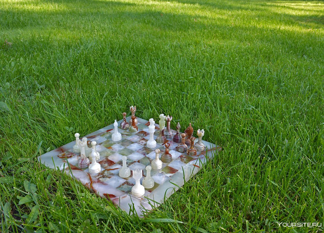 Шахматы на природе