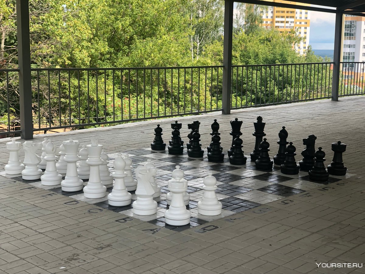 Шахматы на природе
