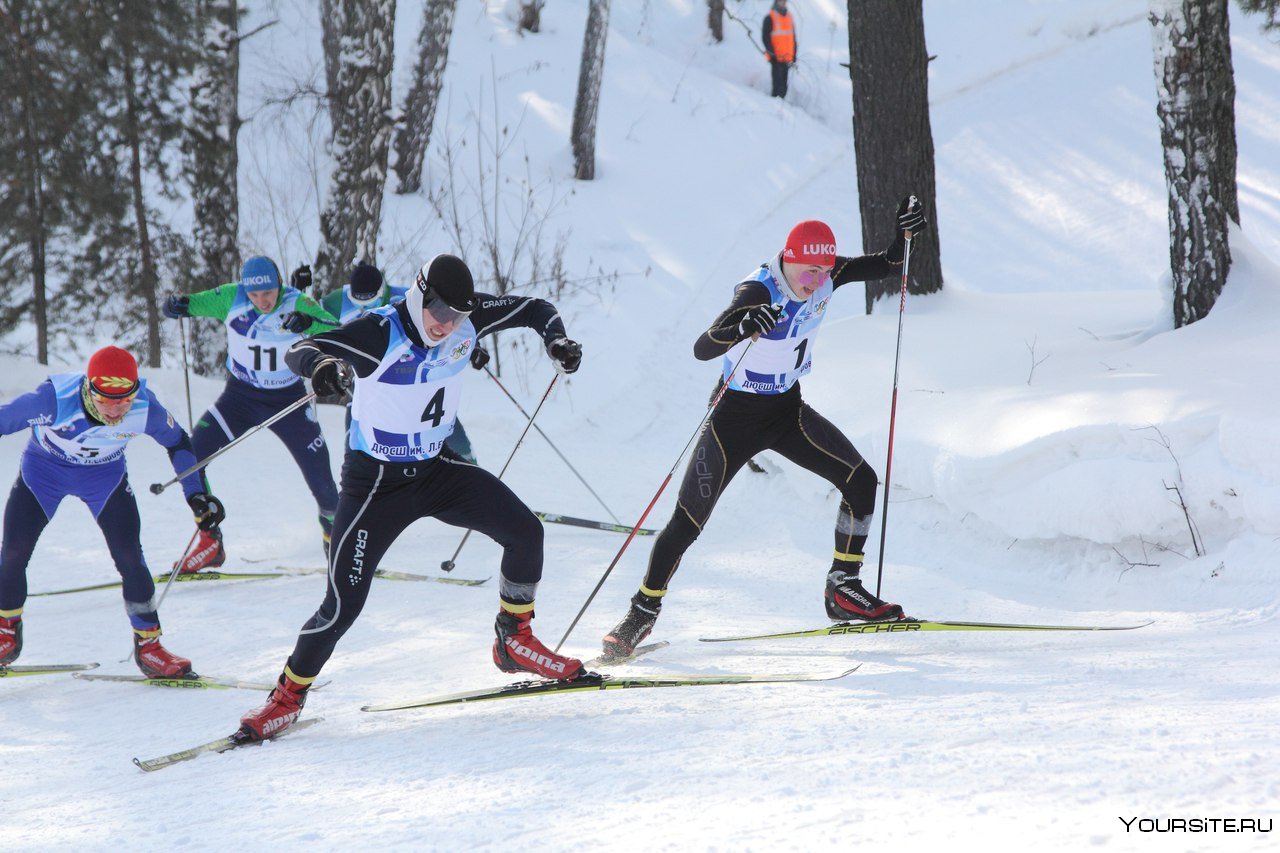 Правила соревнований по лыжному спорту. Кузнецов Северск лыжные гонки. Соревнования по лыжам. Лыжи соревнования.