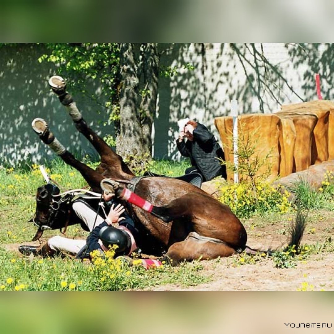 Опасные падения с лошади