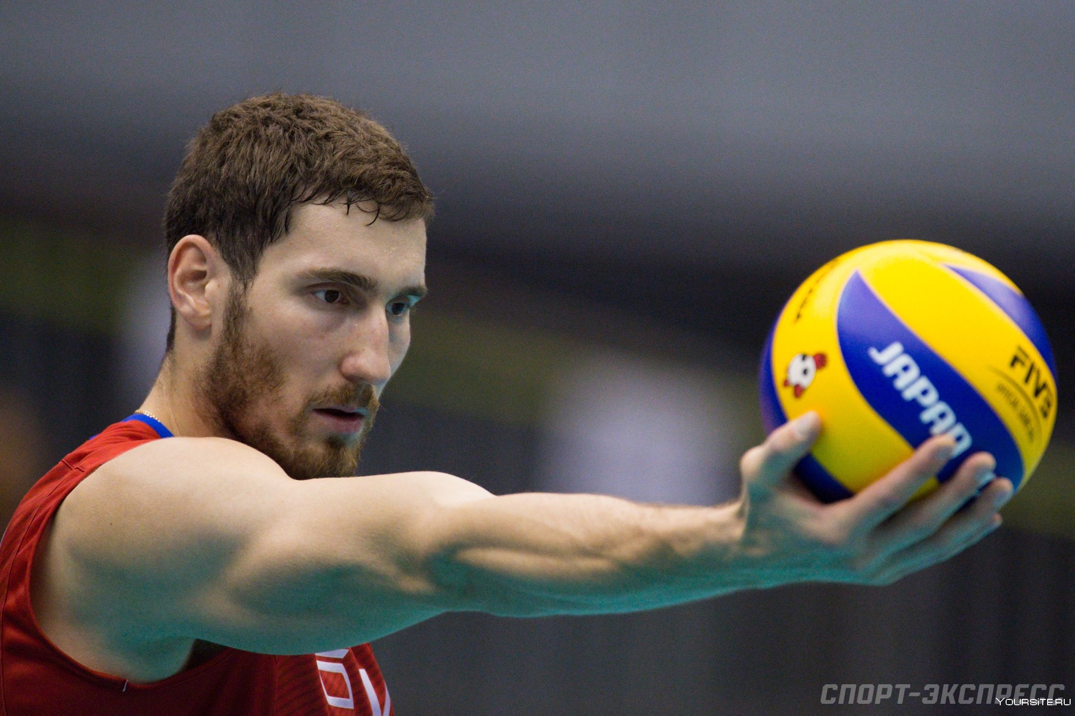 Дмитрий Красиков волейболист